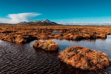 view over the peat bogs towards ben griam beag, at forsinard, in the flow country of the sutherland region of scotland