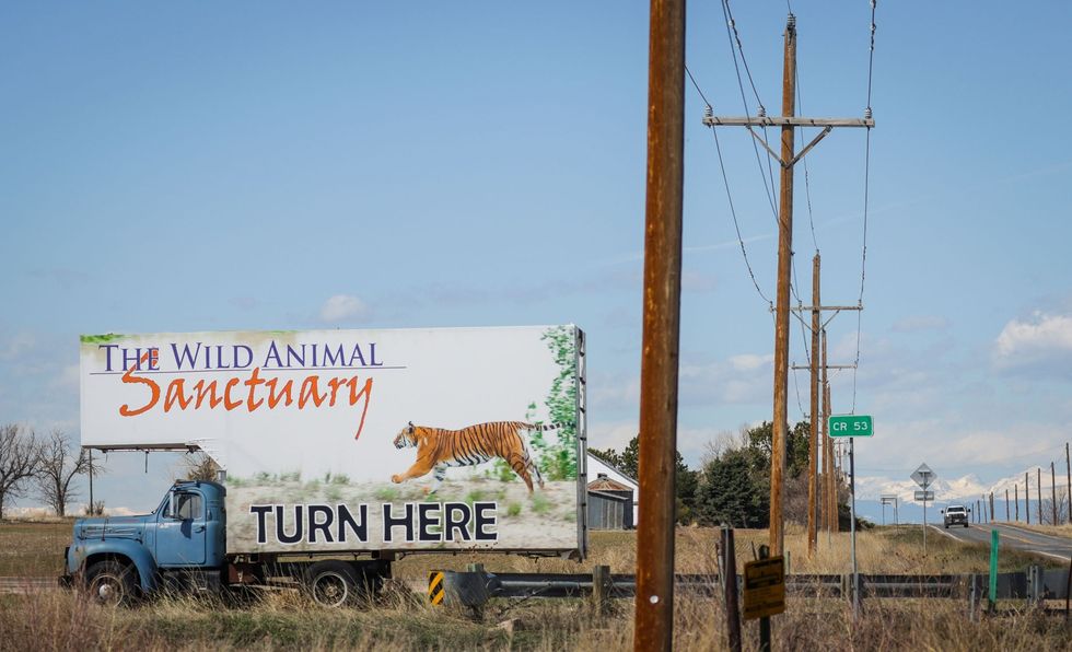 Het Wild Animal Sanctuary beschikt over een bijna driehonderd hectare groot gebied in Keenesburg in de staat Colorado en biedt onderdak aan ruim zeshonderd geredde grote katachtigen en andere dieren Het opvangcentrum nam in 2021 tachtig dieren op die het Amerikaanse OM in beslag nam bij het echtpaar Lowe