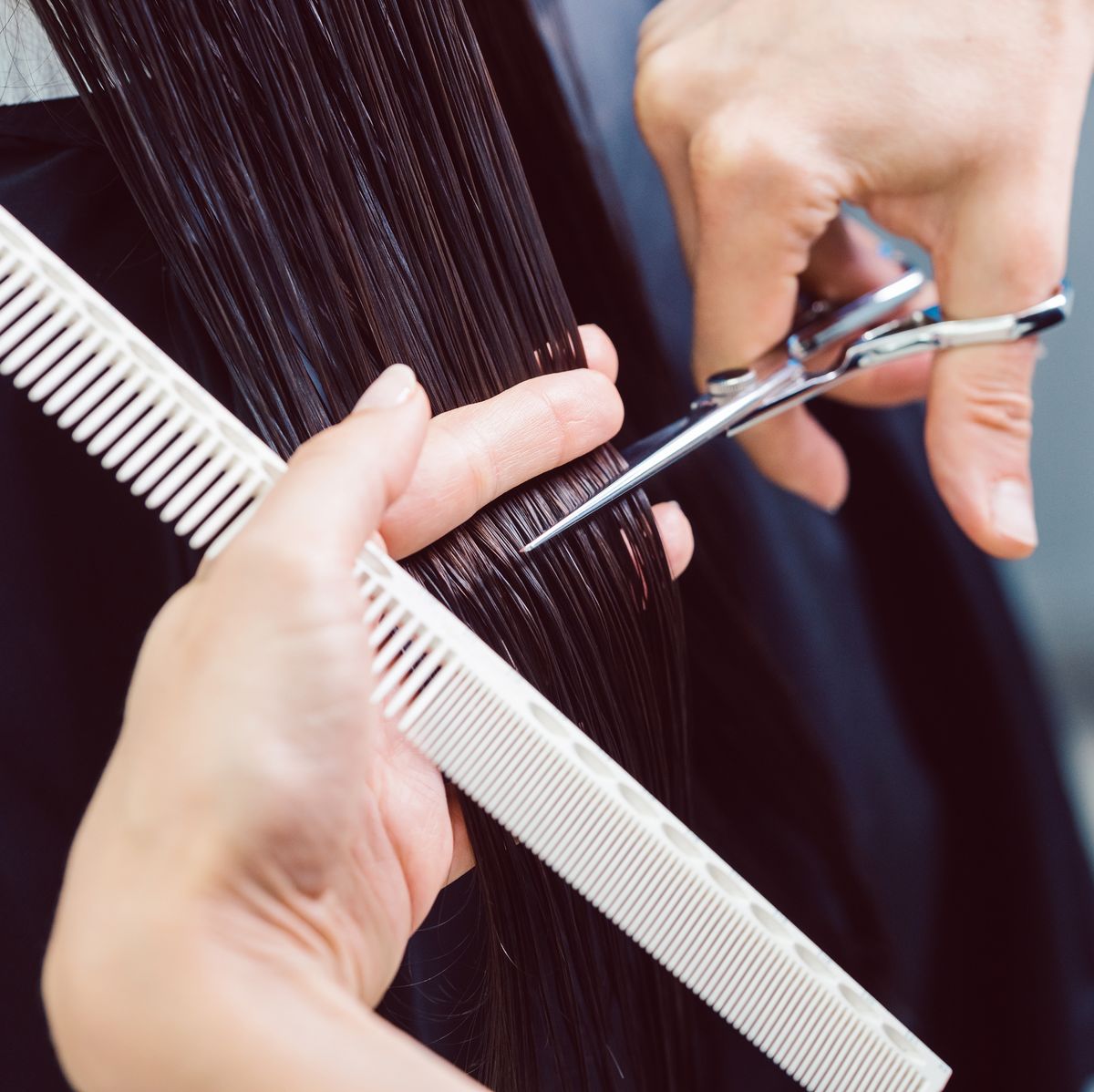 best hair cutting scissors 2021