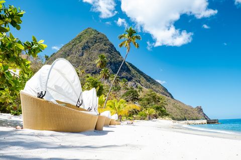 sugar beach saint lucia , a public white tropical beach with palm trees and luxury beach chairs on the beach of the island st lucia caribbean white beach