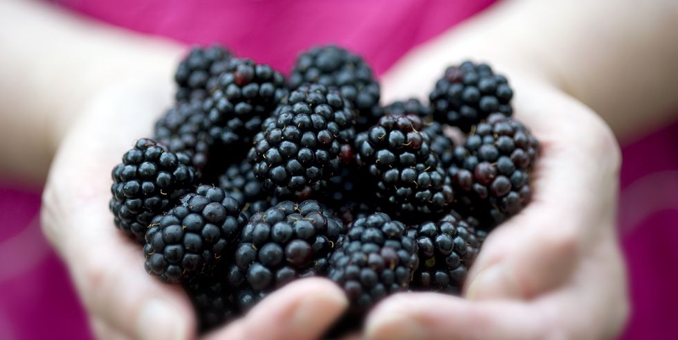 female holding blackberries, close up