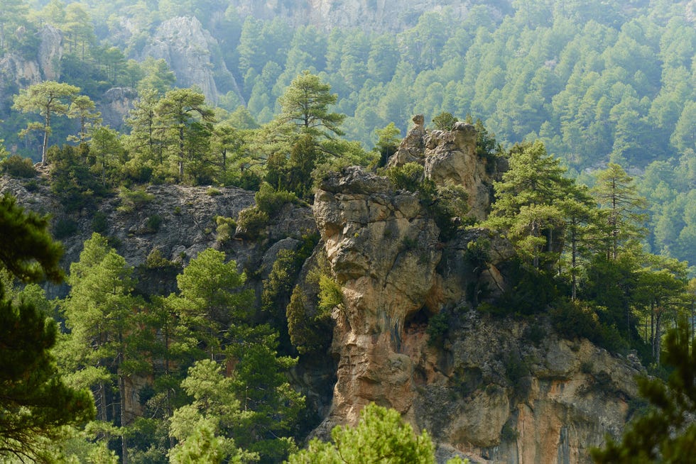 camino natural del matarraña algars