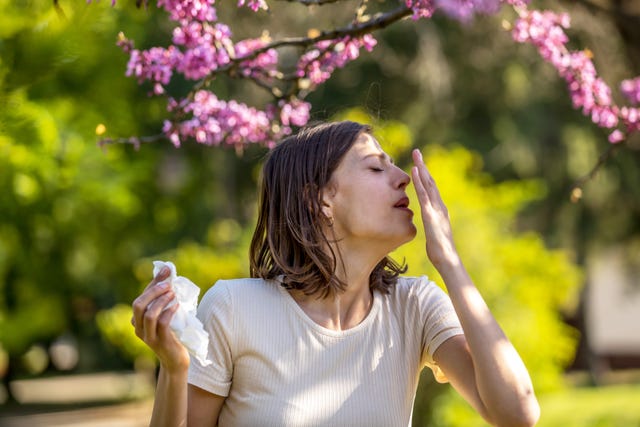 outdoor shot of displeased caucasian woman feels allergy, holds white tissuue, stands near tree with blossom, feels unwell, sneezes all time. people and health problems. spring time. blooming