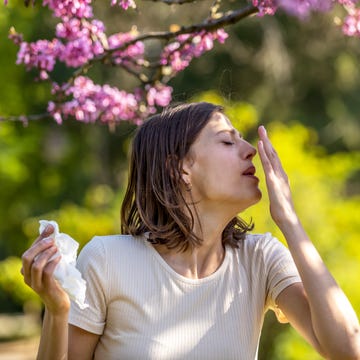 which-season-makes-your-hay-fever-worse? outdoor shot of displeased caucasian woman feels allergy, holds white tissuue, stands near tree with blossom, feels unwell, sneezes all time. people and health problems. spring time. blooming
