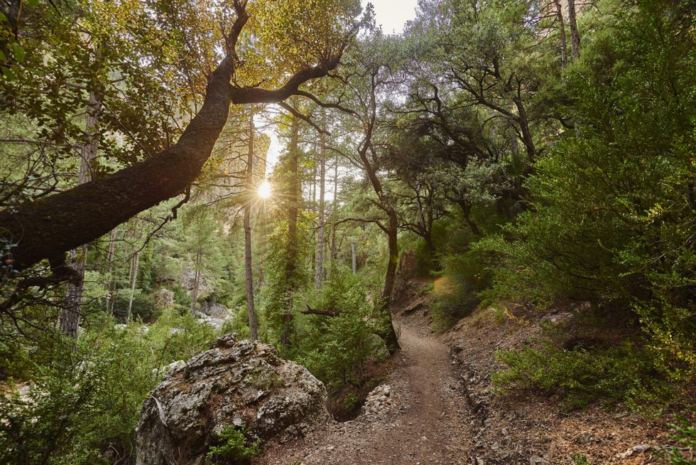 camino natural del matarraña algars
