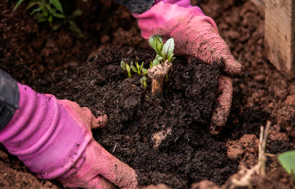 april gardening