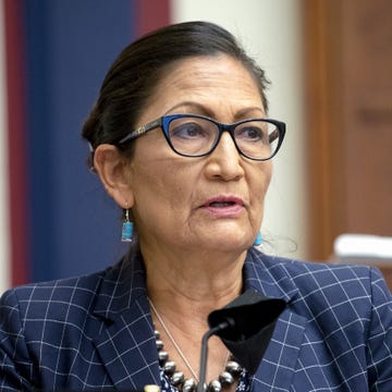 representative deb haaland