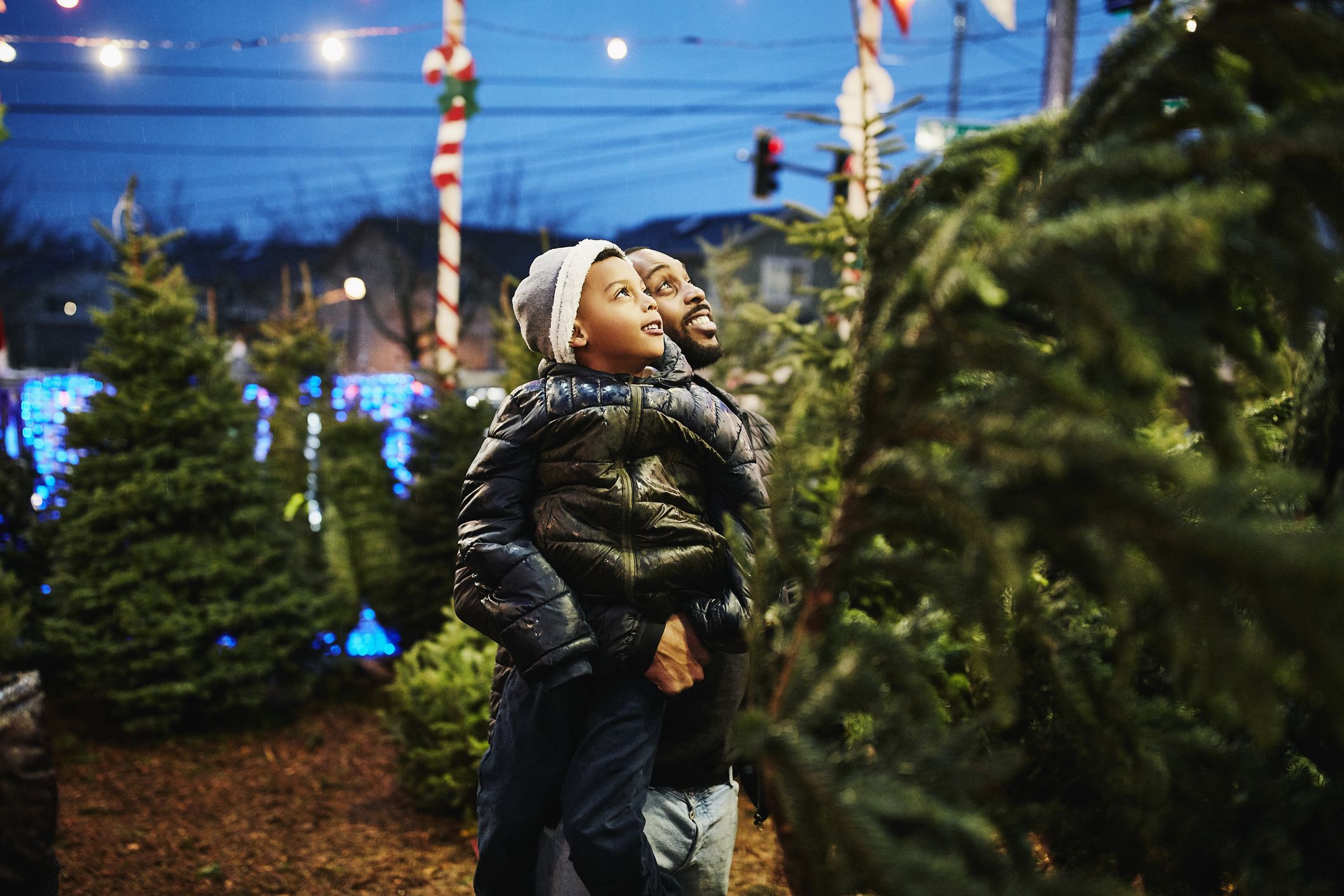 Christmas Tree Farm Family Photos: Samples, Outfit Tips, Posing Ideas -  Redmond Family Photographer