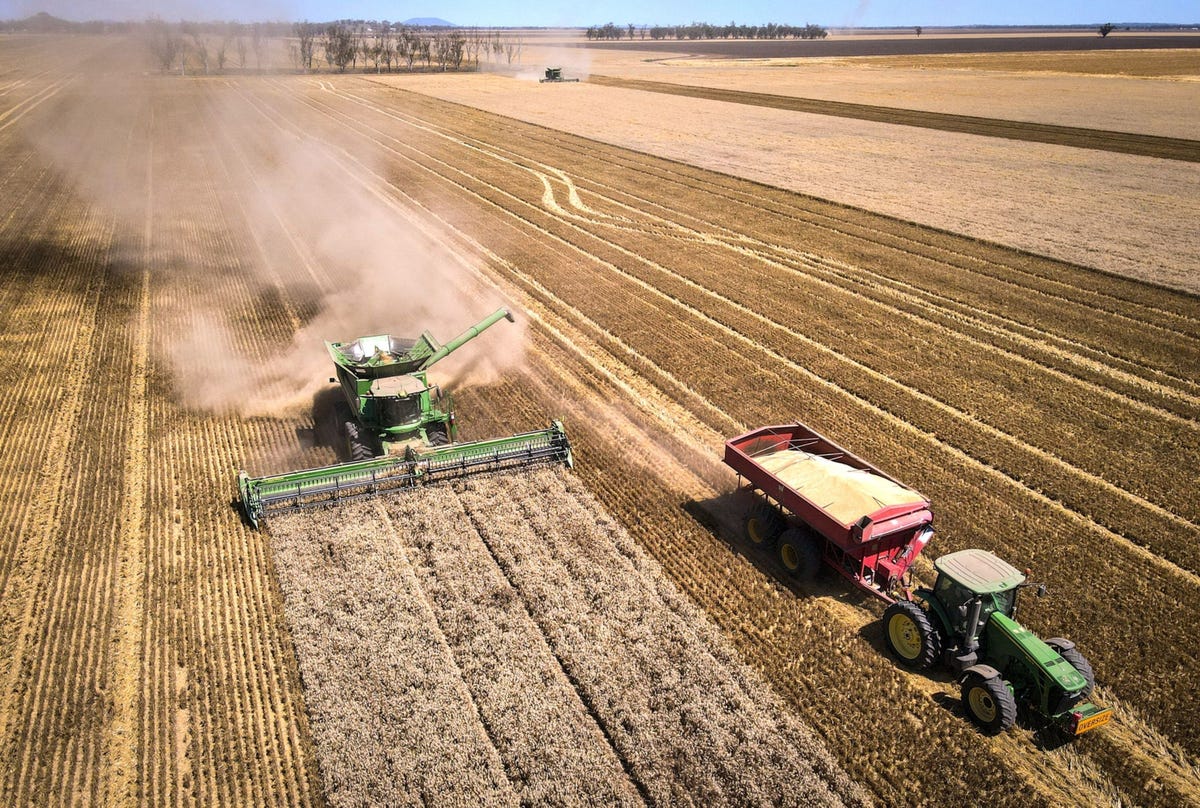 A farmer operates a combine harvester as a tractor hauls a grain cart during a harvest at a farm near Gunnedah New South Wales Australia on Tuesday Nov 10 2020 Media reports suggesting China could soon target imports of Australian wheat after already turning its attention to barley wine cotton and beef have rattled the market