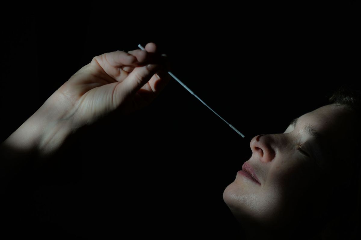 In Edmonton in de Canadese provincie Alberta neemt een vrouw bij zichzelf een neusuitstrijkje af ten behoeve van een antigensneltest voor COVID19