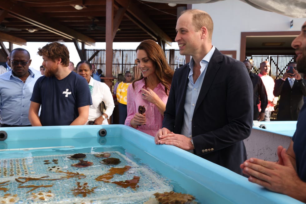 nma rota     engagement 29 coral vita, grand bahama the duke and duchess will then visit 2021 earthshot prize winner, coral vita this is the first time  that the duke has visited the site of an earthshot prize winner or finalist  coral vita was the inaugural winner of the ‘revive our oceans’ earthshot in recognition of their  ground breaking work to give new life to dying coral reefs their approach, which utilizes an  innovative restoration funding model while farming corals on land before planting them into oceans,  sees coral grow up to 50 times faster than traditional methods and improves their resilience to the  impacts of climate change  upon arrival, their royal highnesses will be met by co founders, sam teicher and gator halpern who will lead a short tour of their facilities, including viewing different tanks where coral is growing  inside