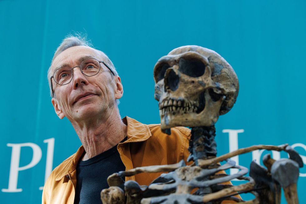 leipzig, germany october 03 svante paabo, director of the max planck institute for evolutionary anthropology, with a model of a neanderthal skeleton after a press conference after he won the nobel prize in physiology or medicine on october 3, 2022 in leipzig, germany paabo is being recognized for his pioneering work in decoding the genome of neanderthals and proving a genetic link to modern humans photo by jens schluetergetty images