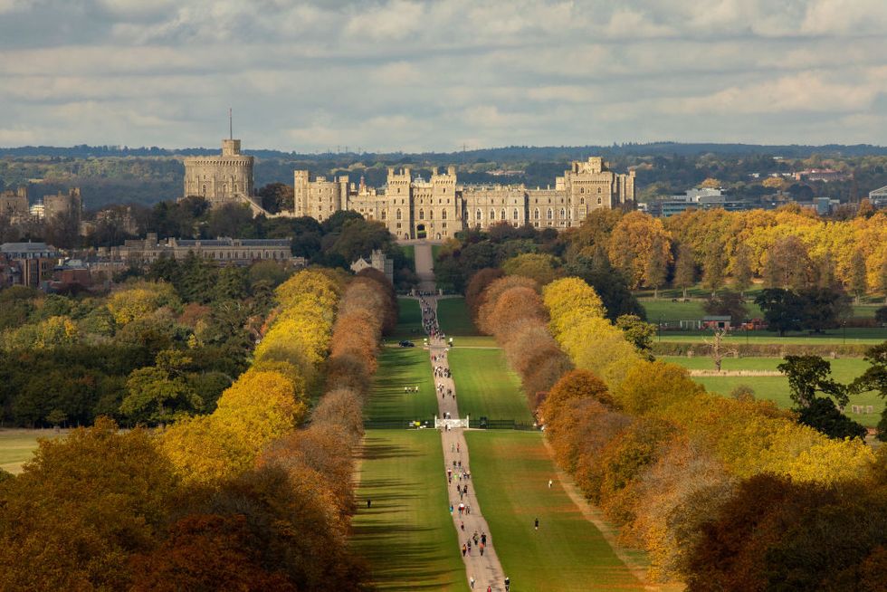 horse chestnut and london plane trees lining the long walk in front of windsor castle display autumn colours on 23 october 2022 in windsor, united kingdom conservationists have predicted a particularly colourful display during october and november this year in spite of some stressed trees having shed leaves early as a result of the summer drought photo by mark kerrisonin pictures via getty images