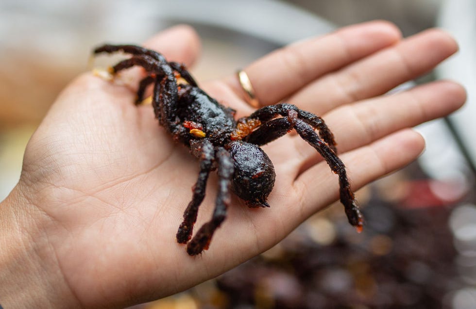 gefrituurde tarantula