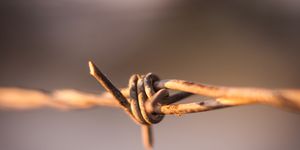 close up of knots on a metal wire