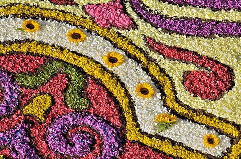 arrangements made of flower petals and seeds at infiorata of genzano province of roma lazio italy
