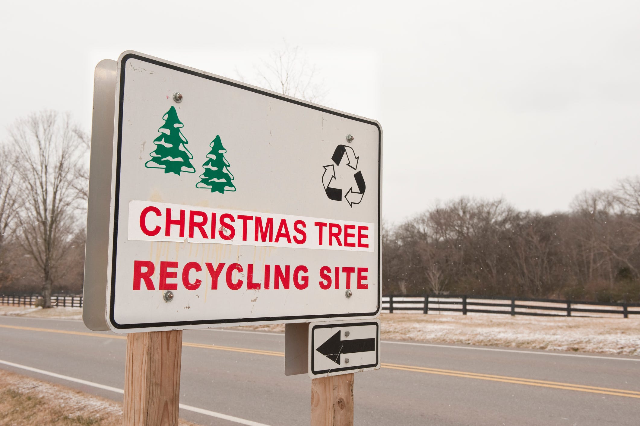 How To Recycle Christmas Trees 7 Ways To Dispose Of Your Christmas Tree