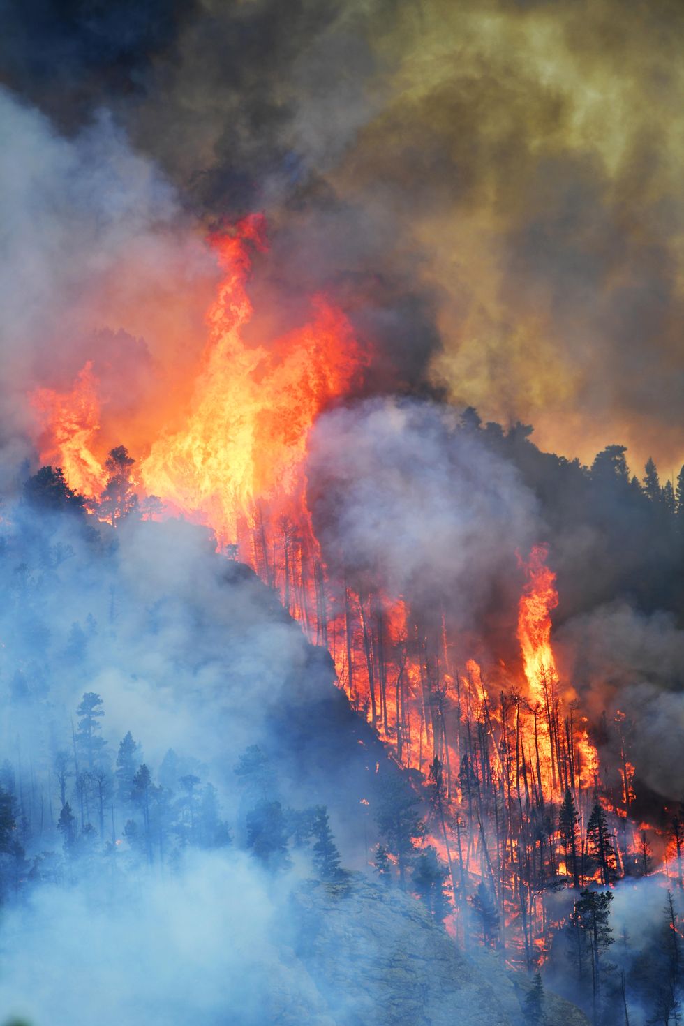 denver, colorado   july 13 a wildfire burning in the evergreen area of jefferson county on july 13, 2020 in denver, colorado photo by  rj sangostimedianews groupthe denver post via getty images
