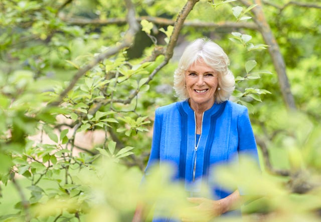 queen camilla animal ball