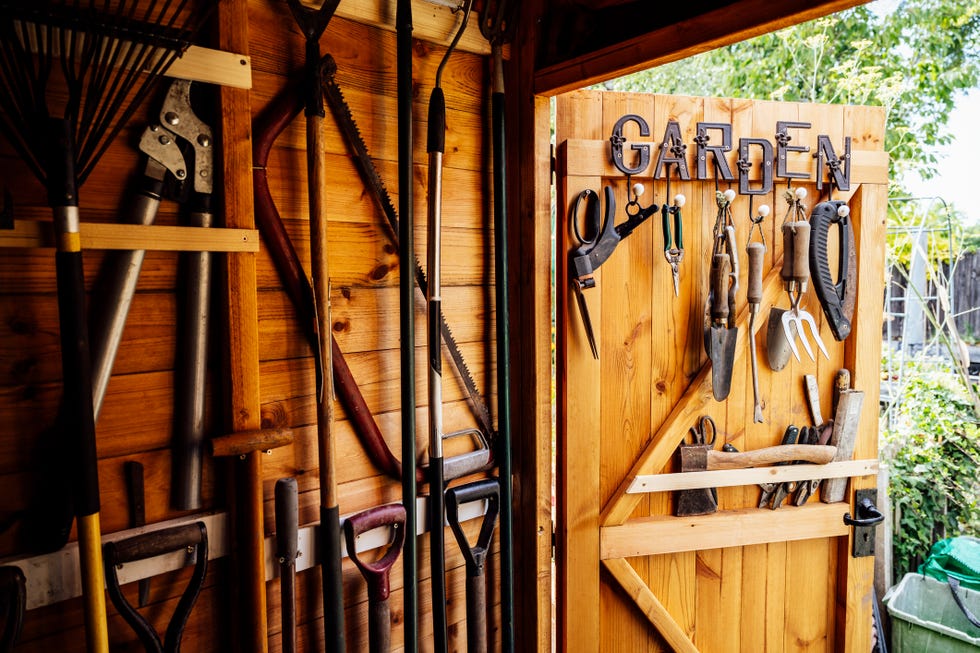 inside view with open door of organized shed filled with rake, shovels, trimmer, saw, and other hand tools required for maintenance of well tended garden