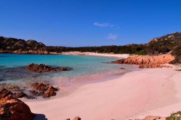 a view of the wonderful pink beach in sardinia, sardinia, italy