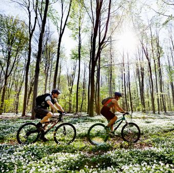 spring cycling