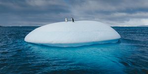 twee pinguïns op een smeltende ijsberg bij antarctica