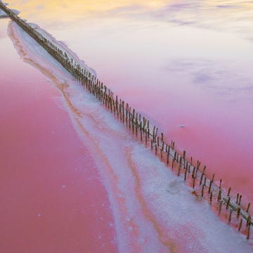 scenic aerial view of pink salt lake