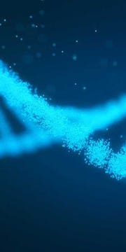 dna molecule dna molecule