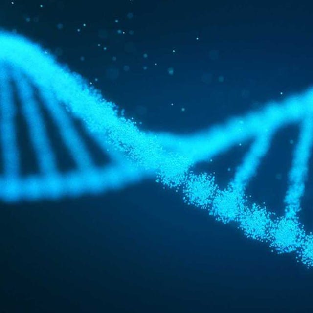 dna molecule