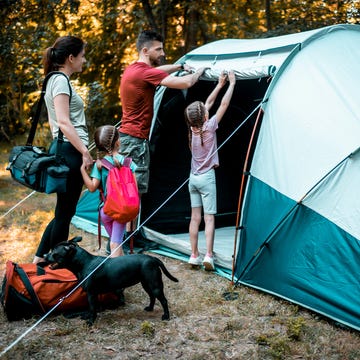 Las 12 mejores tiendas de campaña de 2025 para irse de acampada con comodidad las 12 mejores tiendas de campaña de 2025 para irse de acampada con comodidad
