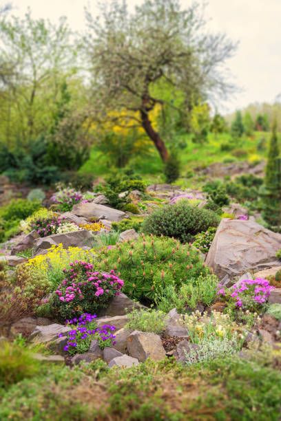 9 Victorian Garden Design Ideas - How to Grow a Victorian Garden