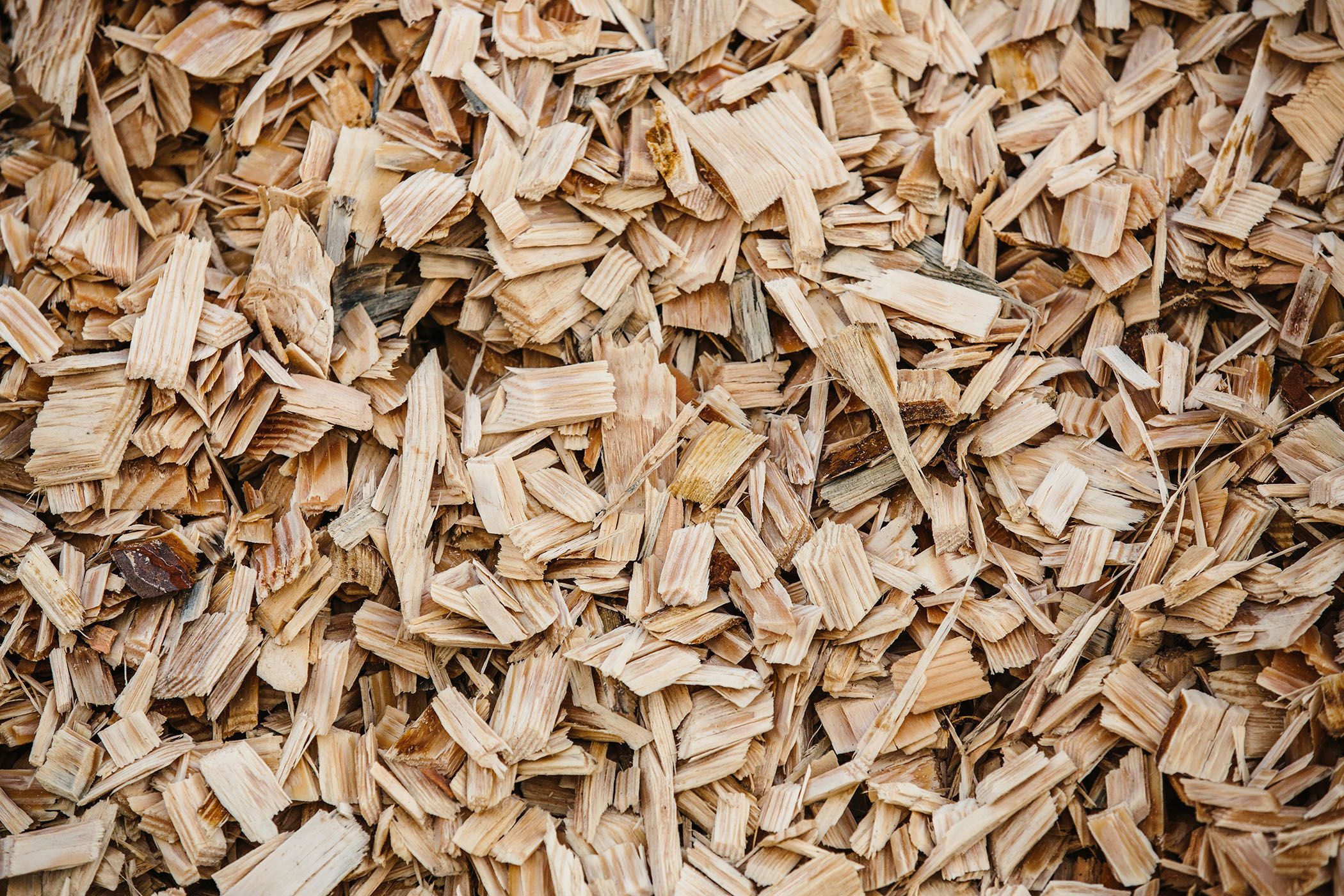 Image of Close-up of cheap wood chip