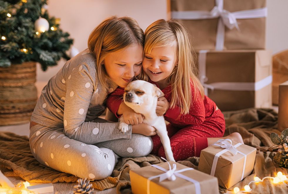 two little sisters playing with a cute dog at home on christmas