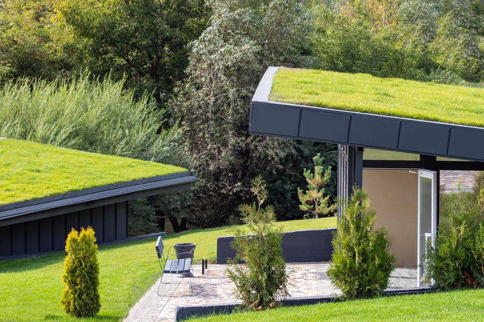 whataregreenroofsandwhatdotheydo