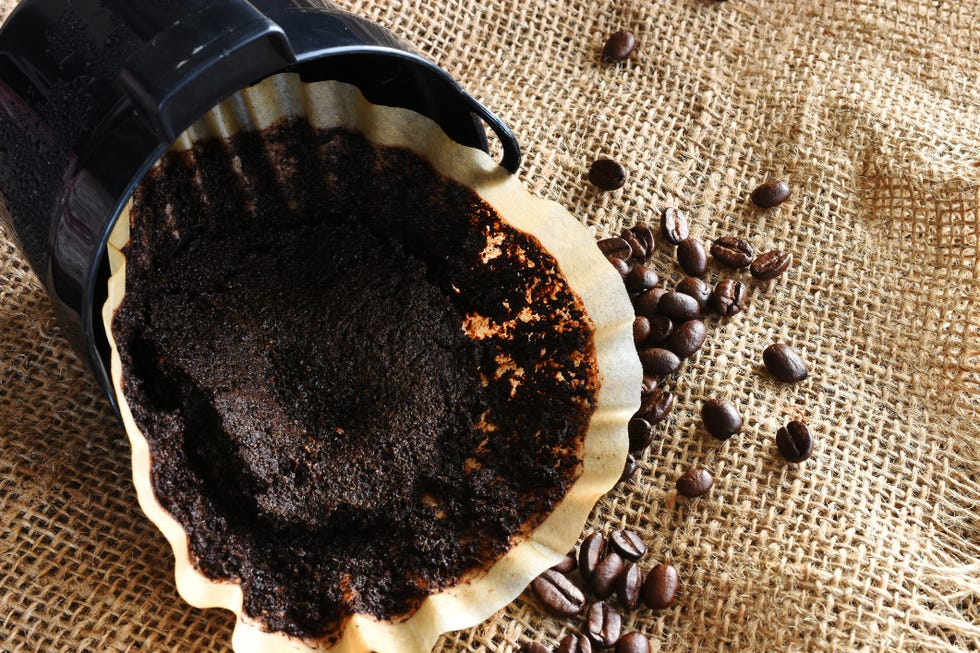 an image of a used coffee filter with coffee basket and coffee beans on burlap