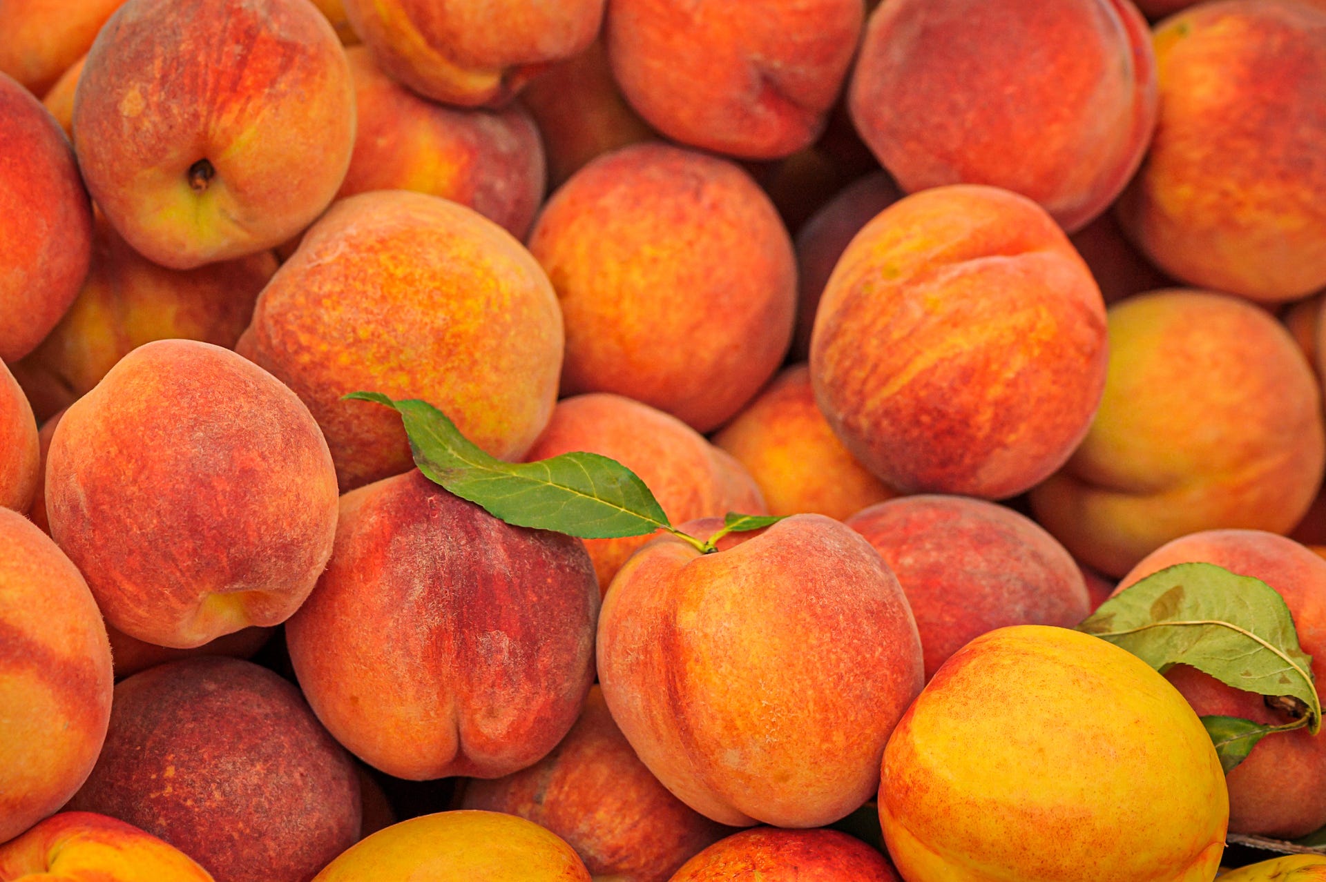 fresh peaches on display at the mercato di rialto along the grand canal in venice, italy