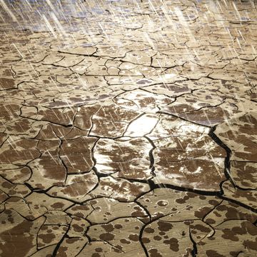 heavy rainfall over dry, cracked land