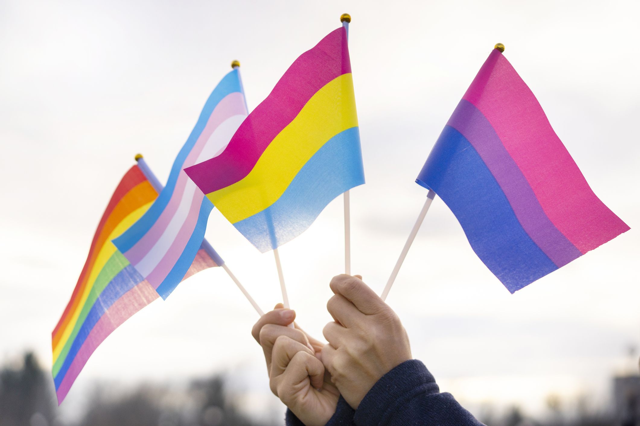 Transgender Pride Flag – Queer In The World: The Shop
