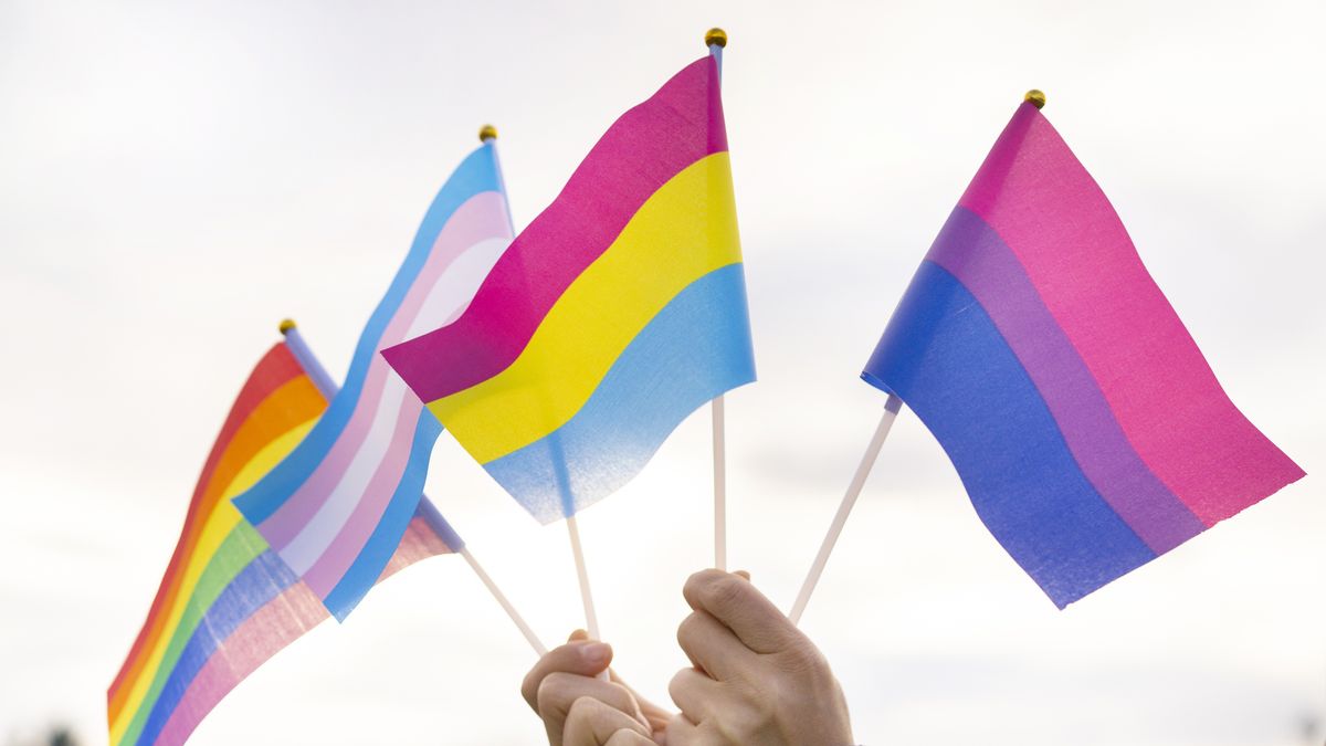 preview for 10 LGBTQ+ Flags That Celebrate Pride
