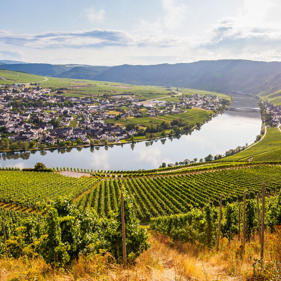 the mosel valley, located near germanys western border, is home to several quaint villages that line the shores of the windy mosel river, near cochem, germany
