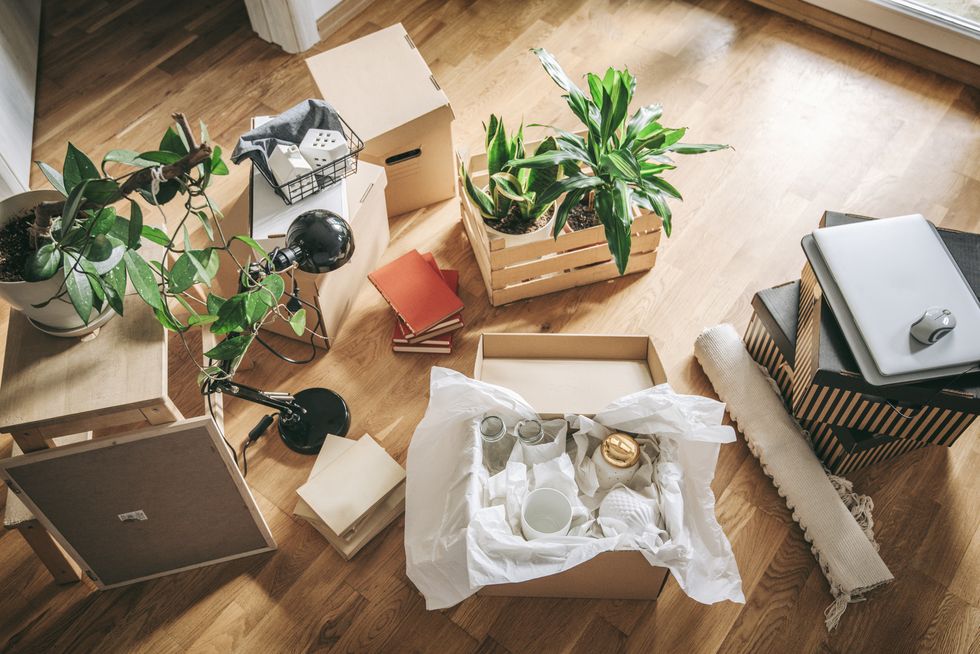 cardboard boxes and potted plants at new apartment moving outin concept