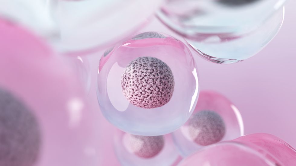 rendering of human cells on colorful background