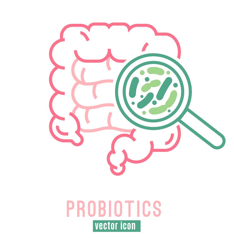 lactobacillus probiotics icon normal gram positive anaerobic microflora sign editable vector illustration in light pink, green colors modern style medical, healthcare and scientific concept