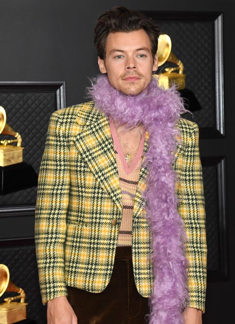 Harry Styles Wore Another Feather Boa Look On the 2021 Grammys Red Carpet