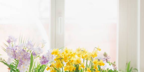 15 Elegant Flower Arrangements That'll Brighten up Any Room