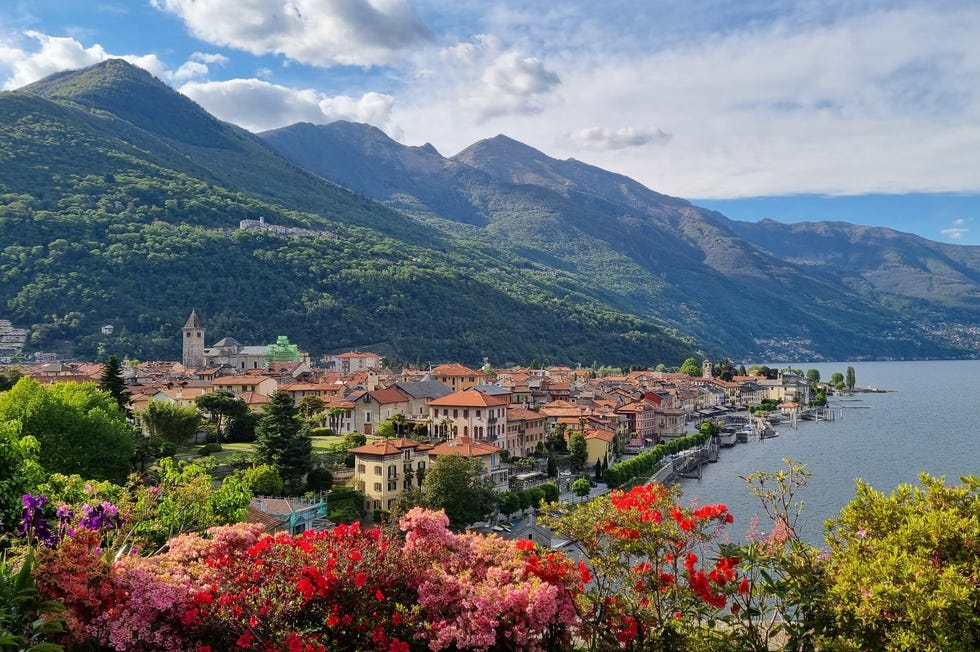 multi colored azaleas flowering in cannobio, famous tourist destination on the shore of lake maggiore, province of verbano cusio ossola, piedmont region in northern italy