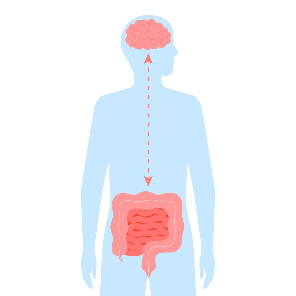 relation health of brain and intestine gut connection healthy of human brain and gut, second brain unity of mental and digestive vector flat illustration