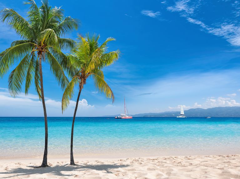 sunny tropical white sand beach with coco palms and the turquoise sea on jamaica caribbean island
