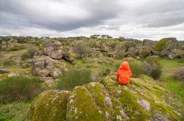 parque natural de cornalvo